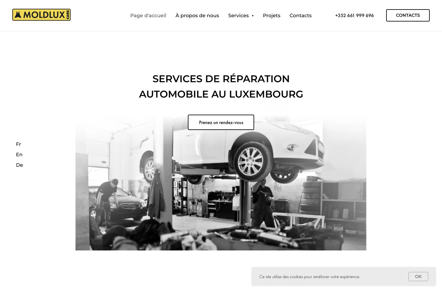 Moldlux Cars — website